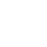 Lampidee logo wit