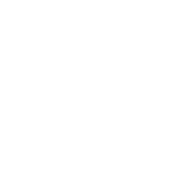 Jumbo logo wit