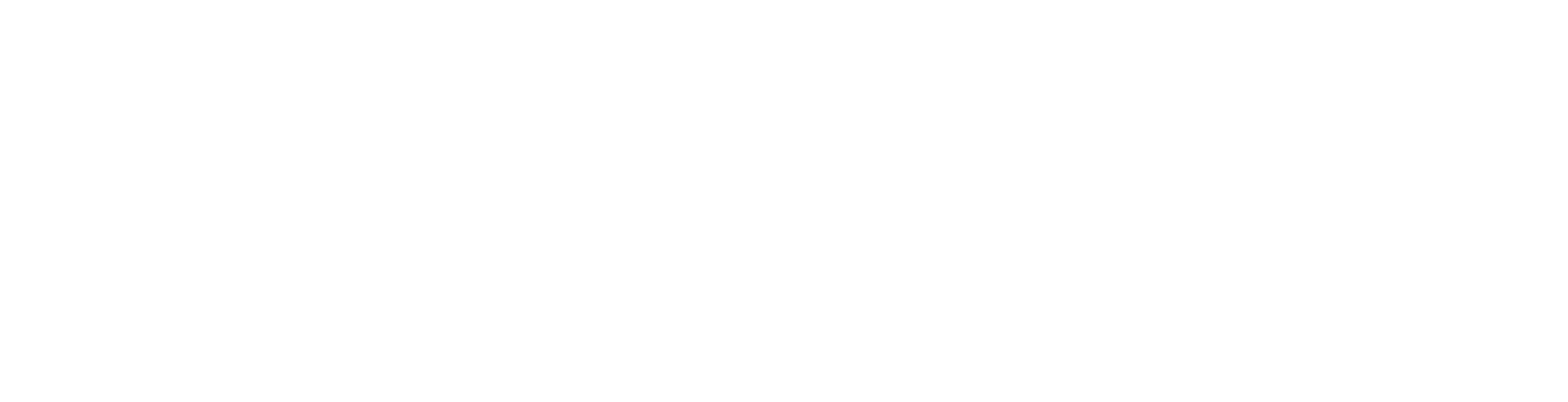 Hogeschool rotterdam logo wit