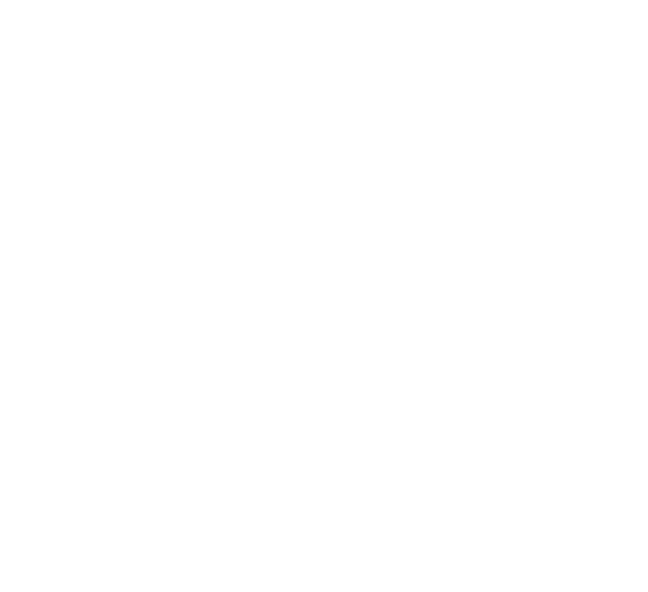Spido logo wit