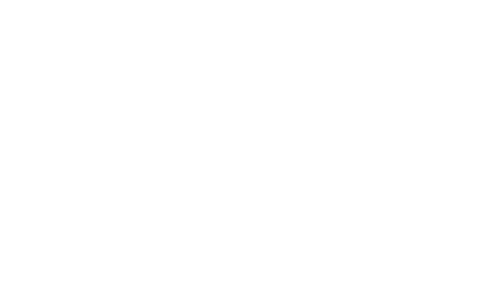 reborn logo wit